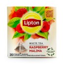 Lipton Weißer Tee Himbeertraum, 20er Pack