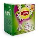 Lipton Grüner Tee Jasmin Blütenblätter, 20er Pack